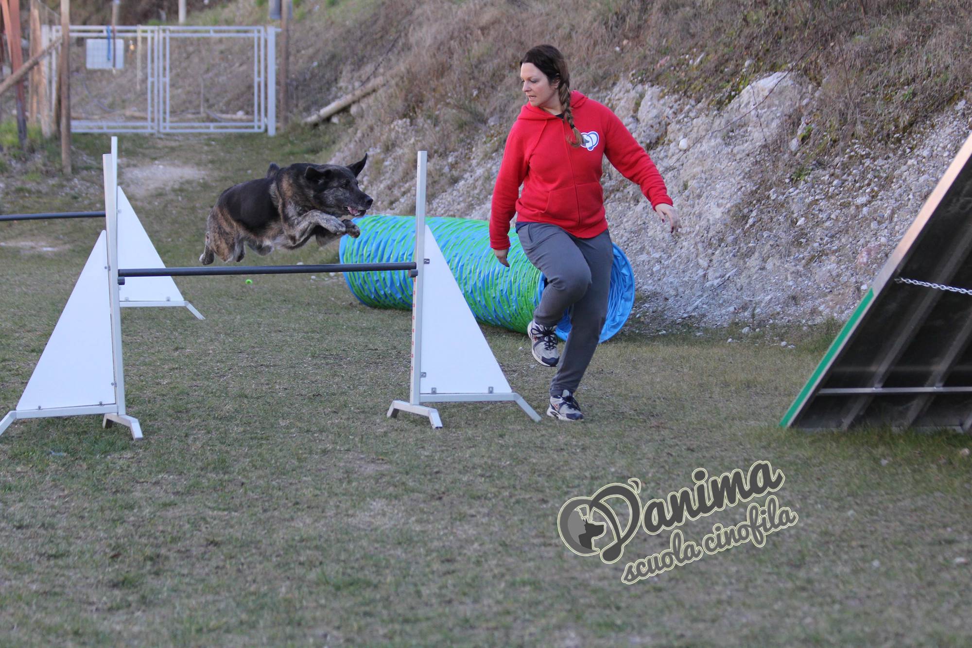 Agility - Scuola Cinofila D'Anima